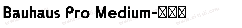Bauhaus Pro Medium字体转换